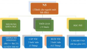 Lớp luyện thi N5